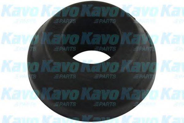 KAVO PARTS SCR5565 Підвіска, важіль незалежної підвіски колеса