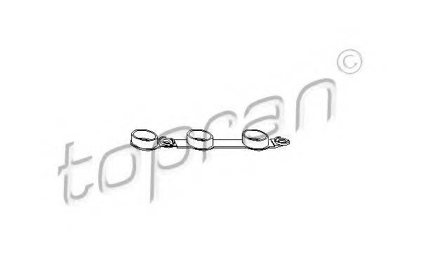 TOPRAN 501328 Прокладка, кришка головки циліндра