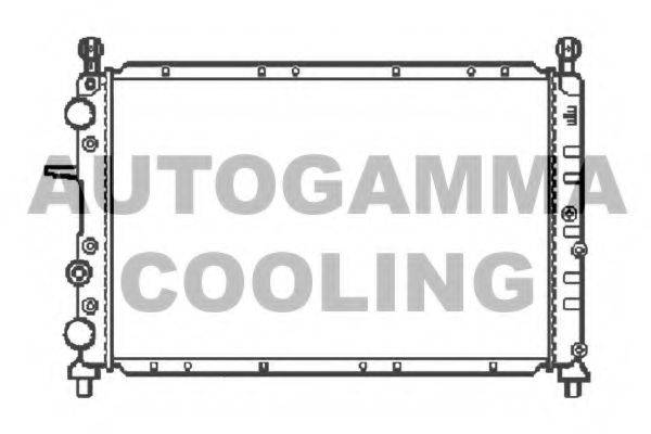 AUTOGAMMA 100017 Радіатор, охолодження двигуна