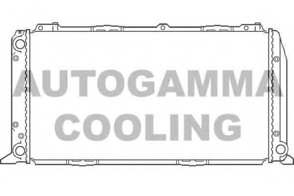 AUTOGAMMA 100041 Радіатор, охолодження двигуна