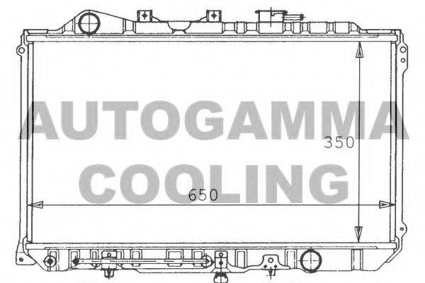 AUTOGAMMA 100496 Радіатор, охолодження двигуна