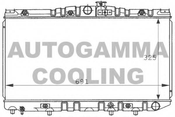 AUTOGAMMA 100993 Радіатор, охолодження двигуна