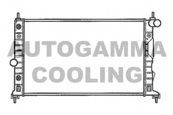 AUTOGAMMA 102304 Радіатор, охолодження двигуна